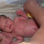 Willow gets her first Bath!<br /><br />She slept through most of it.<br /><br />        